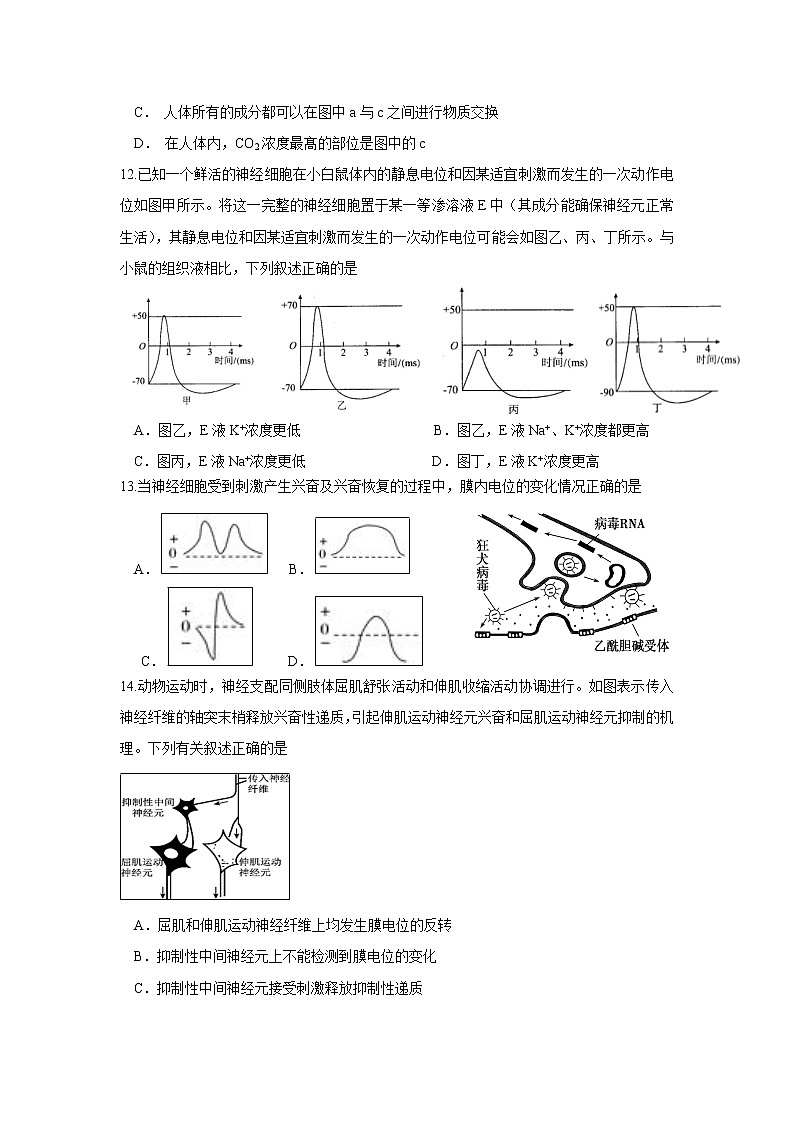 【生物】湖北省浠水县实验高级中学2018-2019学年高二12月月考第3页
