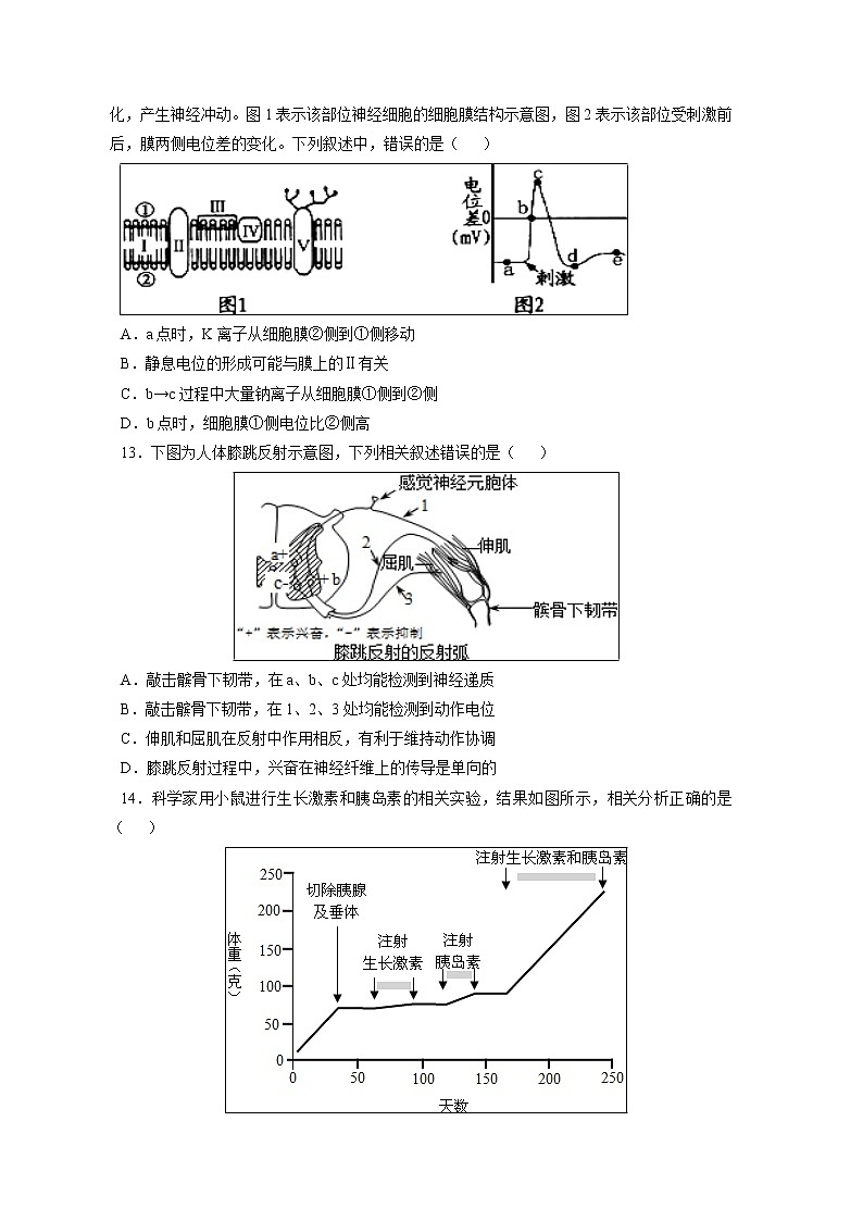 【生物】湖北省重点高中联考协作体2018-2019学年高二上学期12月月考试卷03