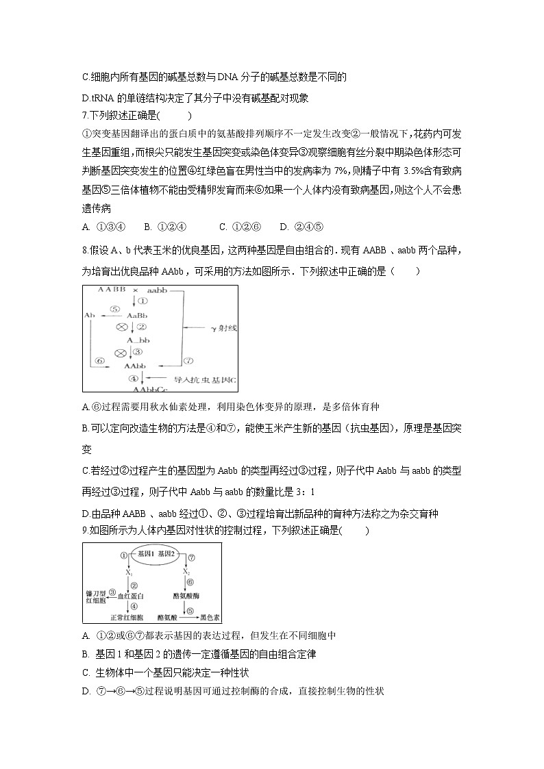 【生物】河南省中牟县第一高级中学2018-2019学年高二上学期第十一次双周考试卷02