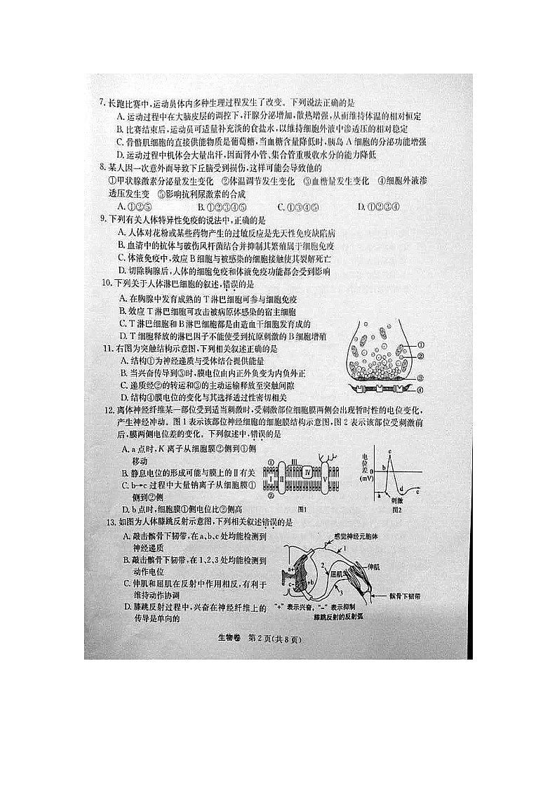 【生物】湖北省孝感一中等六校2018-2019学年高二12月联考试题02