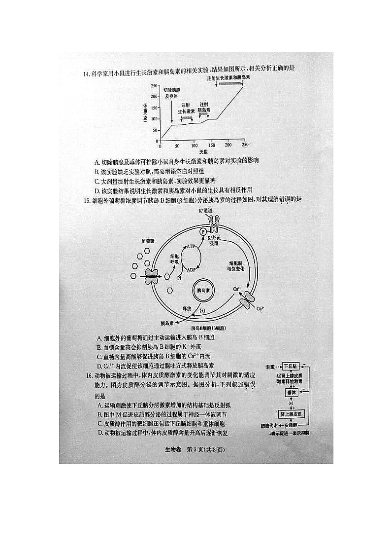 【生物】湖北省孝感一中等六校2018-2019学年高二12月联考试题03