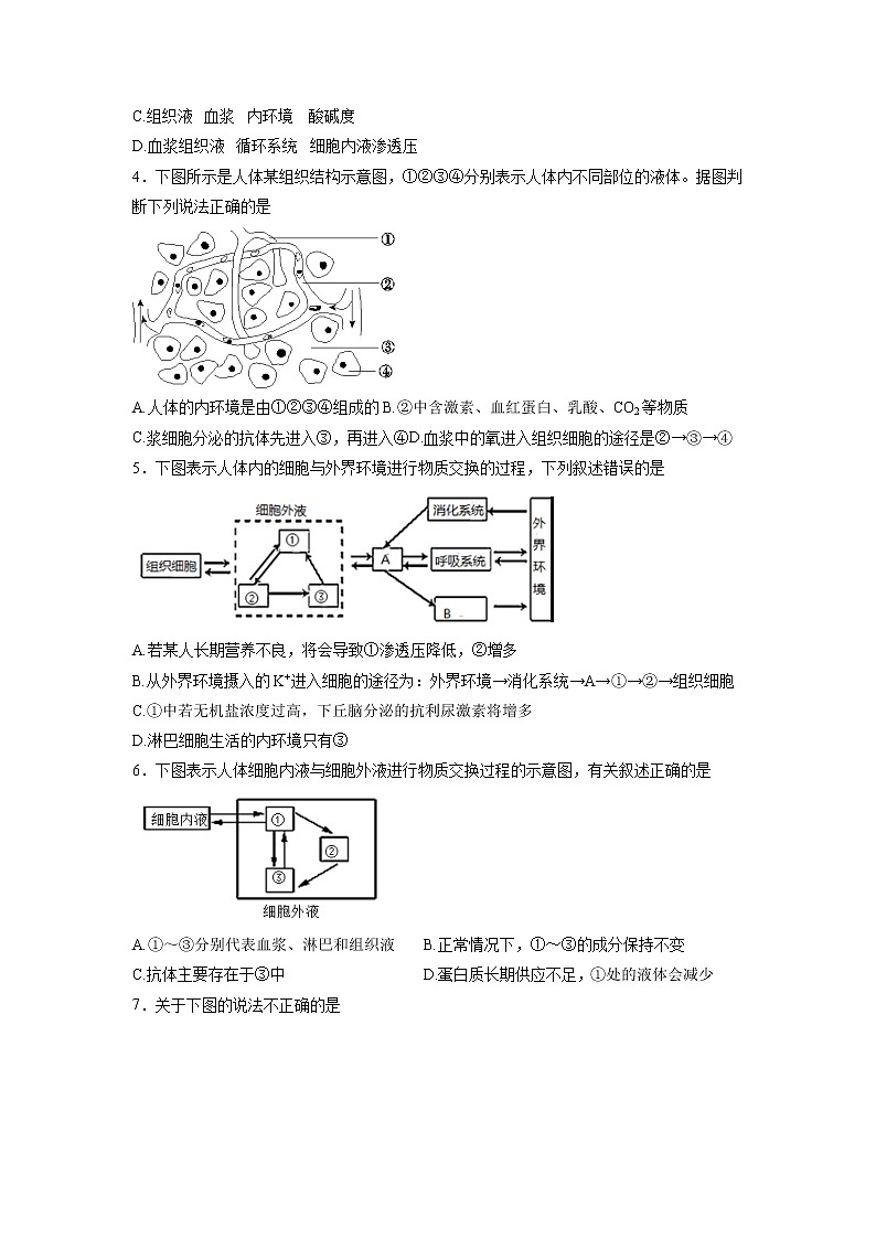 【生物】河南省周口中英文学校2018-2019学年高二上学期全能竞赛试题02