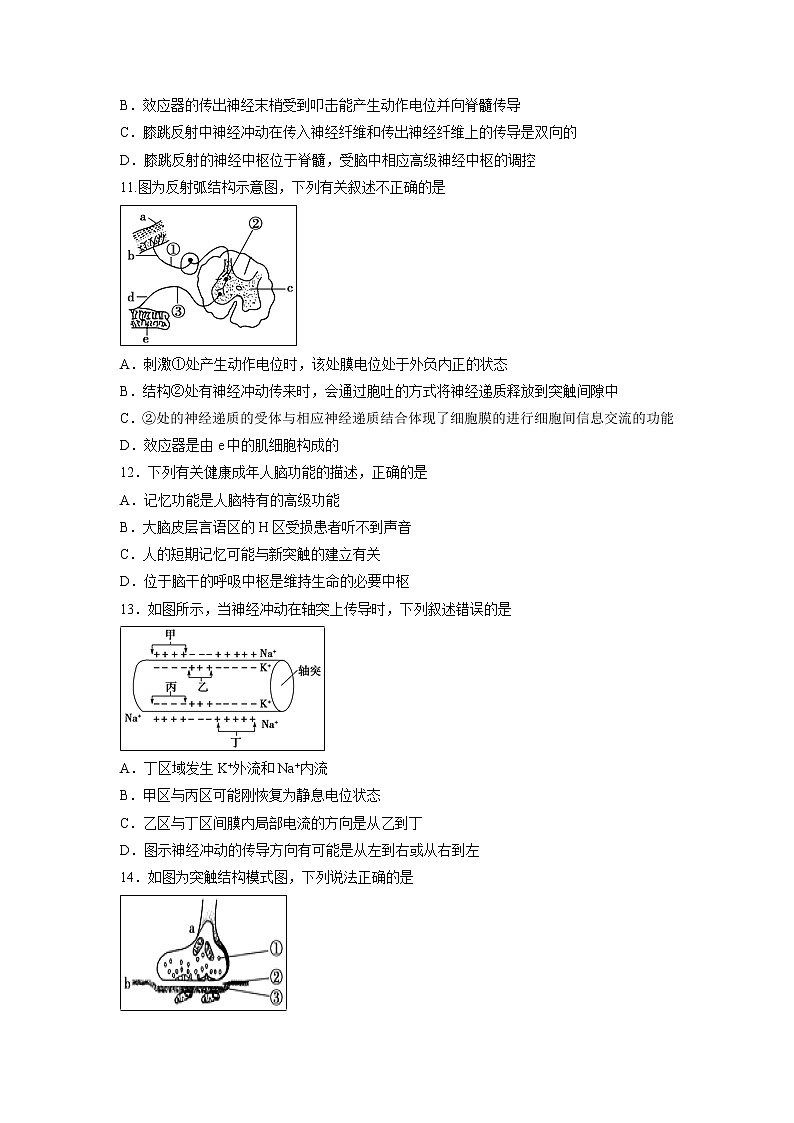 【生物】黑龙江省大庆实验中学2018-2019学年高二10月月考试题03