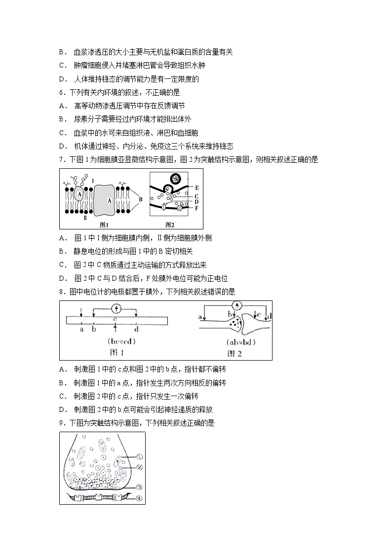 【生物】黑龙江省哈尔滨师范大学青冈实验中学校2018-2019学年高二10月考试试题02
