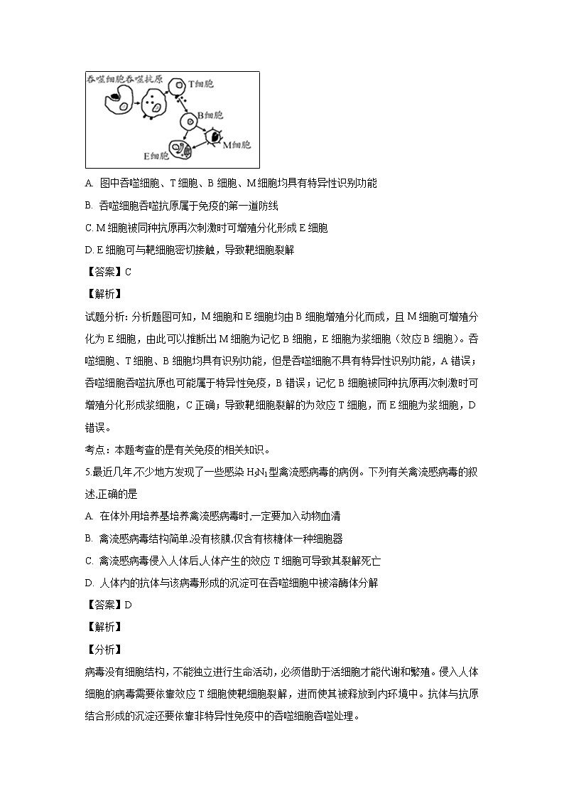 【生物】江苏省常州市华罗庚中学、江都中学和仪征中学2018-2019学年高二上学期12月联考试题（解析版）03