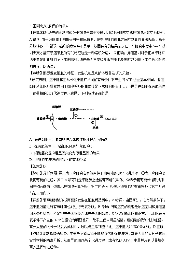 【生物】江西省南昌市第二中学2018-2019学年高二上学期第一次月考试题（解析版）02