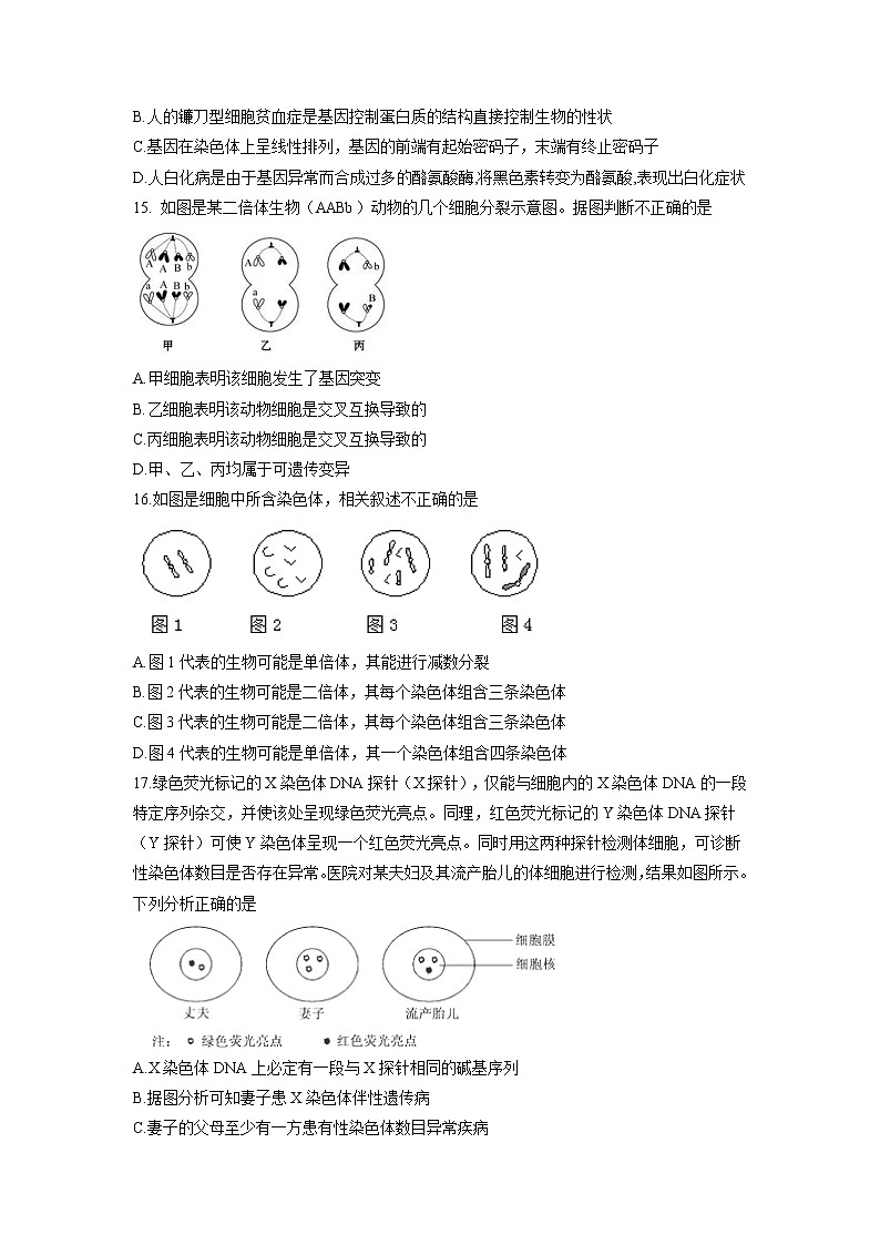 【生物】江西省南昌市第二中学2018-2019学年高二上学期第三次月考试题03