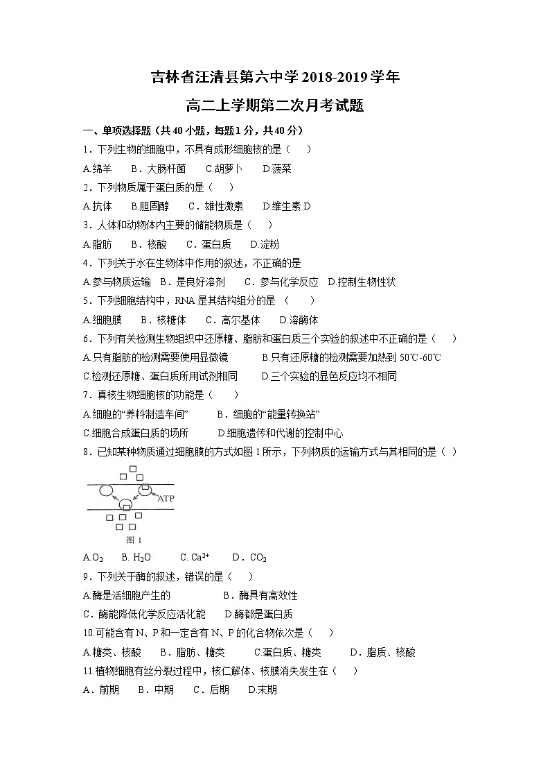 【生物】吉林省汪清县第六中学2018-2019学年高二上学期第二次月考试题第1页