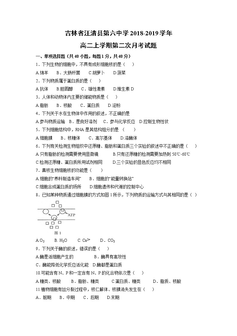 【生物】吉林省汪清县第六中学2018-2019学年高二上学期第二次月考试题 (1)第1页