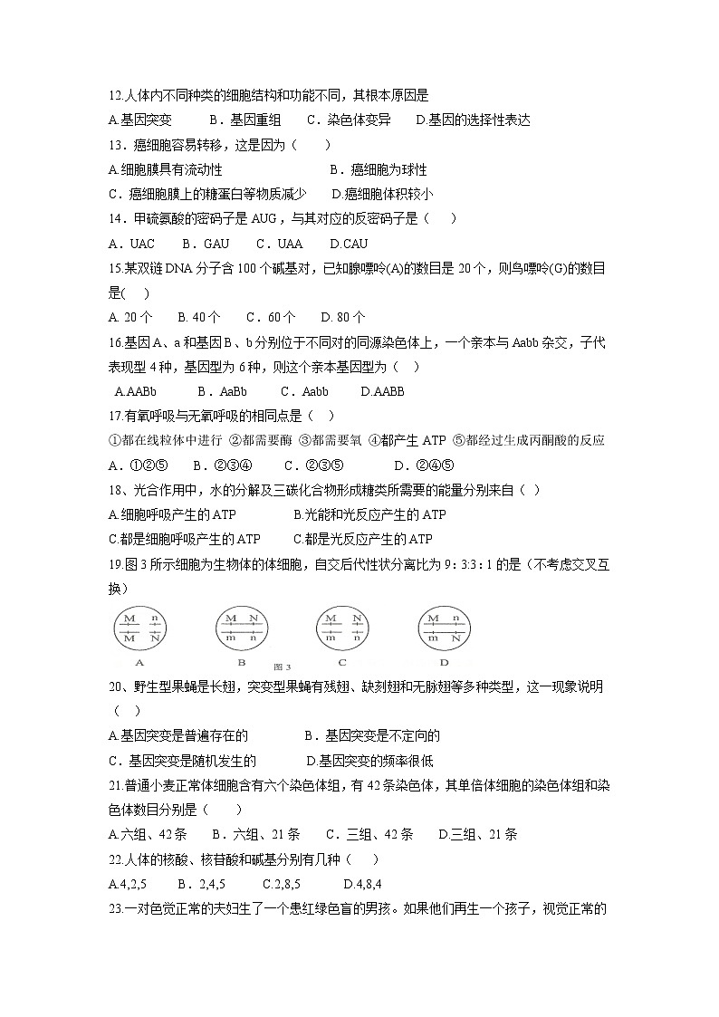 【生物】吉林省汪清县第六中学2018-2019学年高二上学期第二次月考试题 (1)第2页