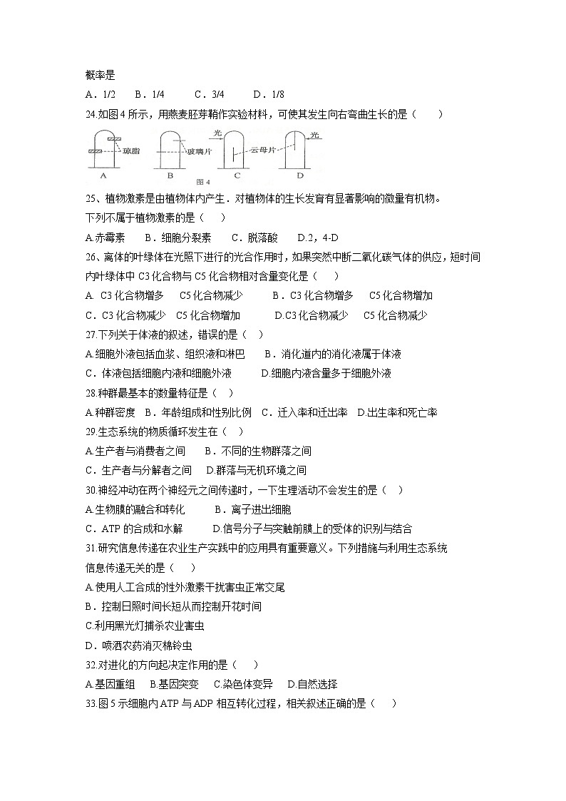 【生物】吉林省汪清县第六中学2018-2019学年高二上学期第二次月考试题 (1)第3页