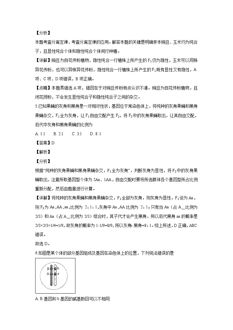 【生物】内蒙古巴彦淖尔一中2018-2019学年高二上学期10月月考试卷(解析版)03