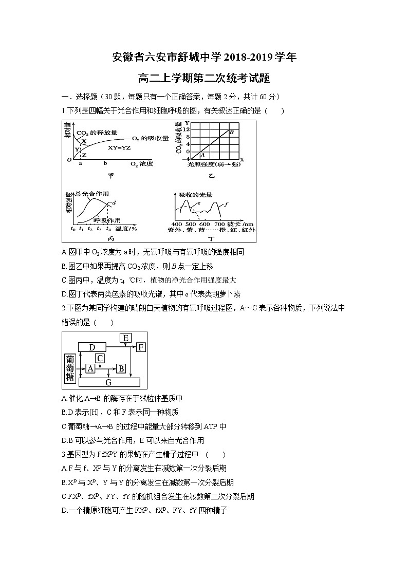 【生物】安徽省六安市舒城中学2018-2019学年高二上学期第二次统考试题01