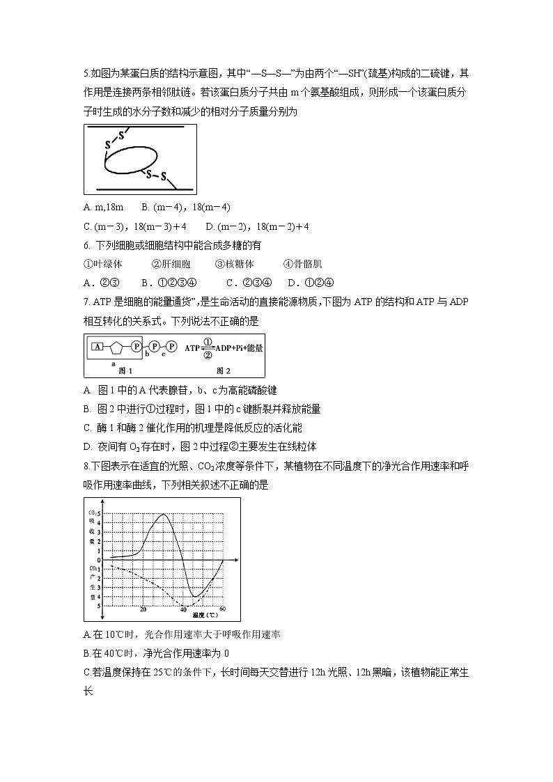 【生物】甘肃省兰州第一中学2018-2019学年高二9月月考试题02