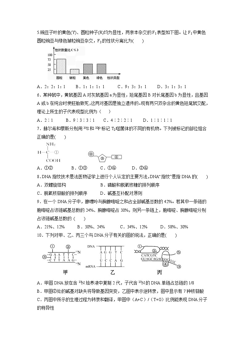 【生物】贵州省都匀市第一中学2018-2019学年高二上学期12月月考试题02