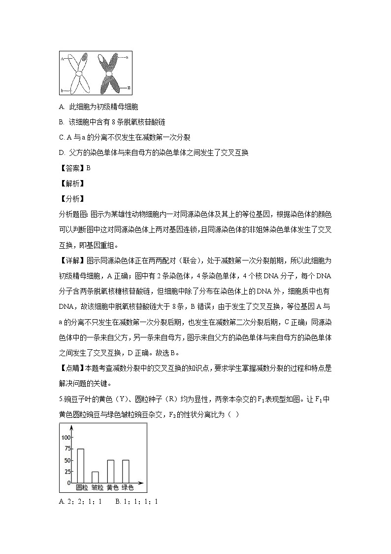 【生物】贵州省黔南布依族苗族自治州都匀第一中学2018-2019学年高二12月月考试题 （解析版）03