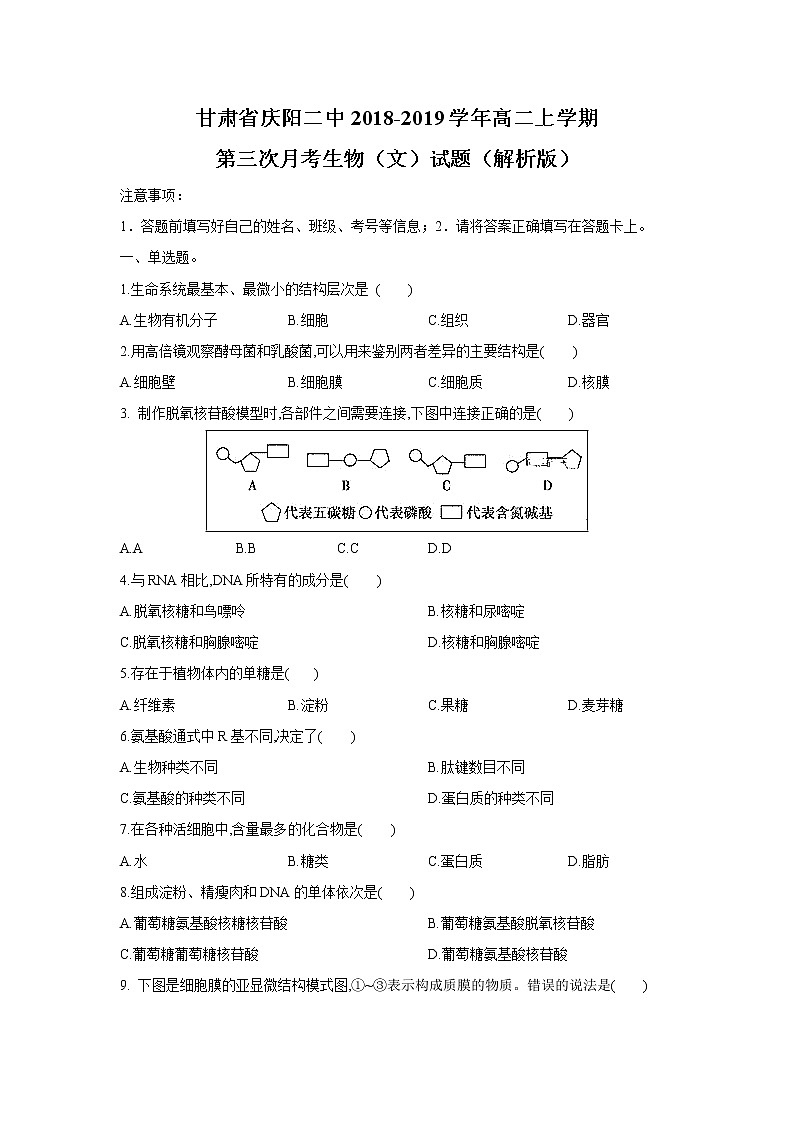 【生物】甘肃省庆阳二中2018-2019学年高二上学期第三次月考生物（文）试题（解析版）01