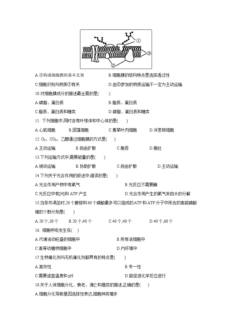【生物】甘肃省庆阳二中2018-2019学年高二上学期第三次月考生物（文）试题（解析版）02