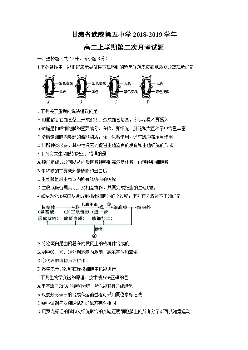 【生物】甘肃省武威第五中学2018-2019学年高二上学期第二次月考试题01