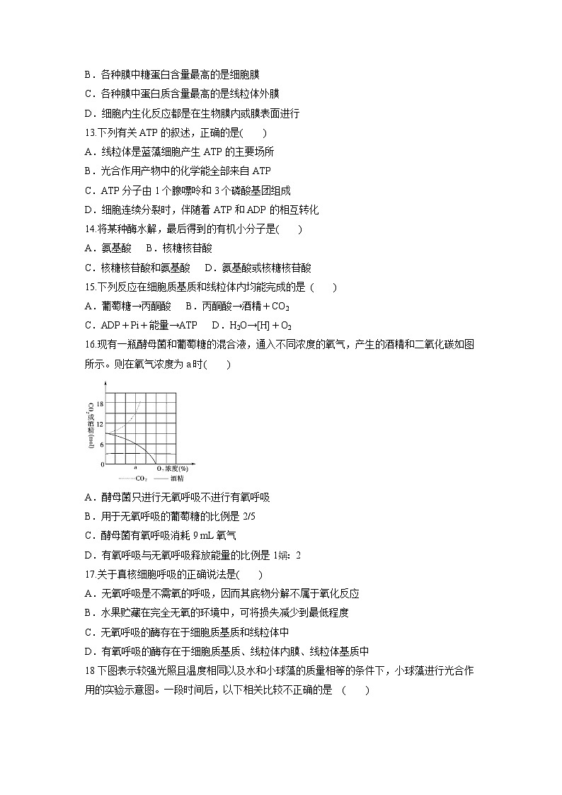 【生物】甘肃省武威第五中学2018-2019学年高二上学期第二次月考试题03