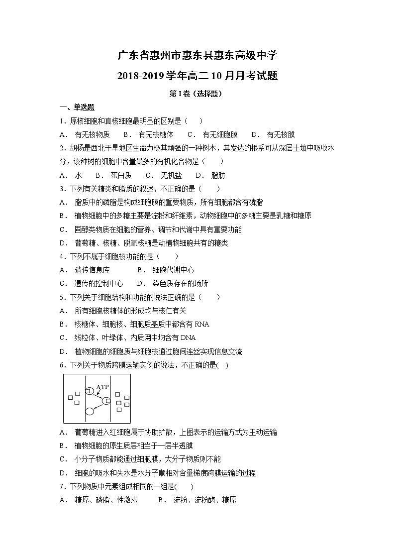 【生物】广东省惠州市惠东县惠东高级中学2018-2019学年高二10月月考试题第1页