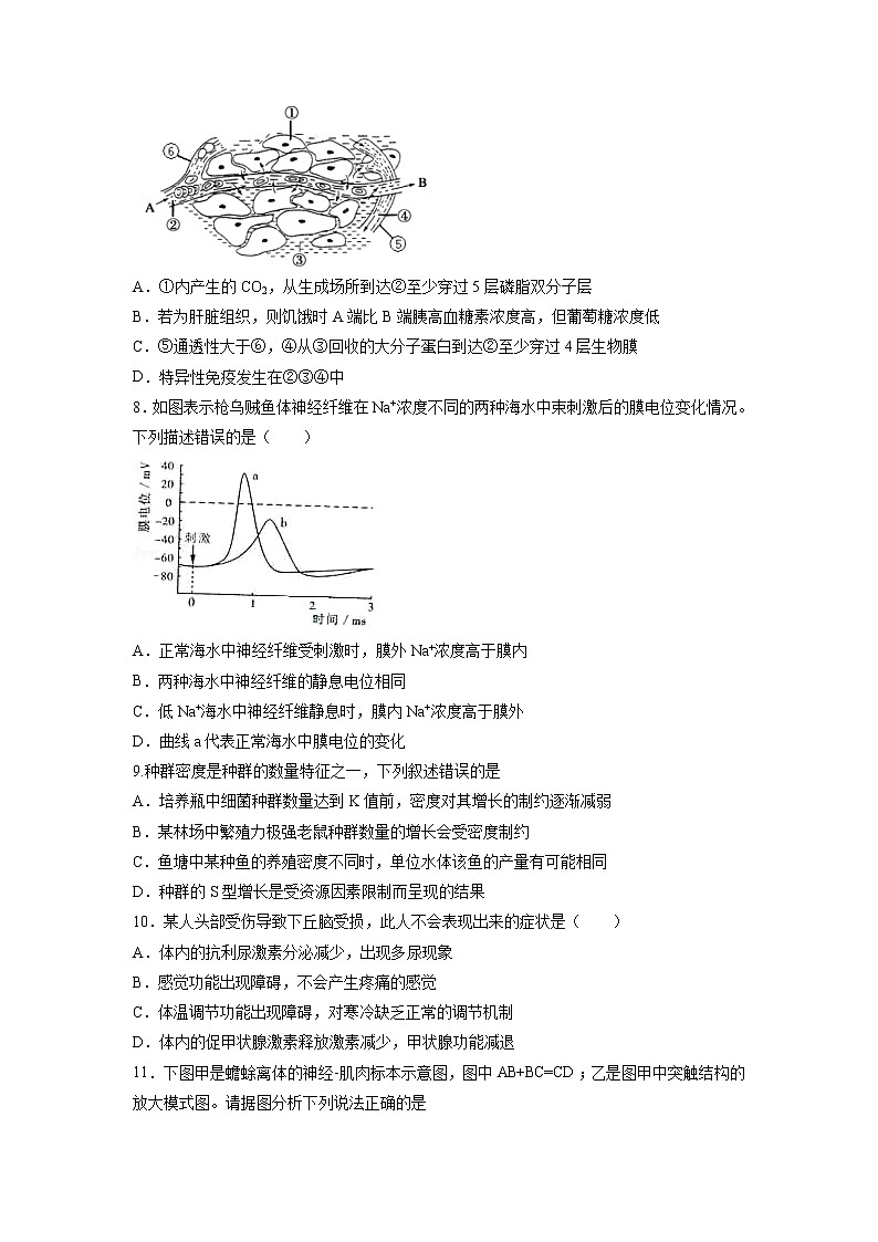 【生物】广东省揭阳市惠来县第一中学2018-2019学年高二上学期第二次阶段考试试题02