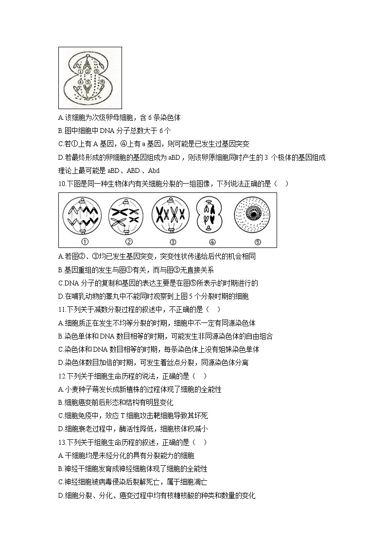 【生物】广东省揭阳市惠来县第一中学2018-2019学年高二上学期第一次阶段考试试题03