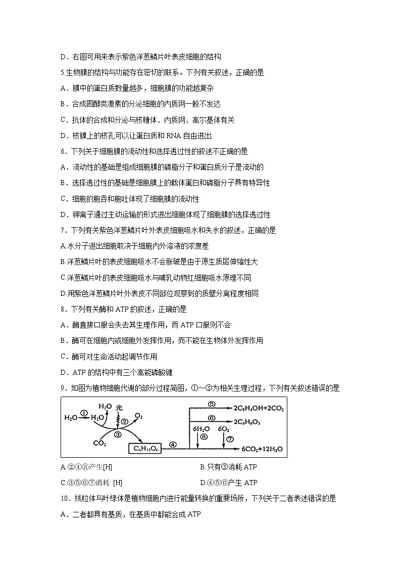 【生物】广东省汕头市金山中学2018-2019学年高二上学期10月月考试题第2页
