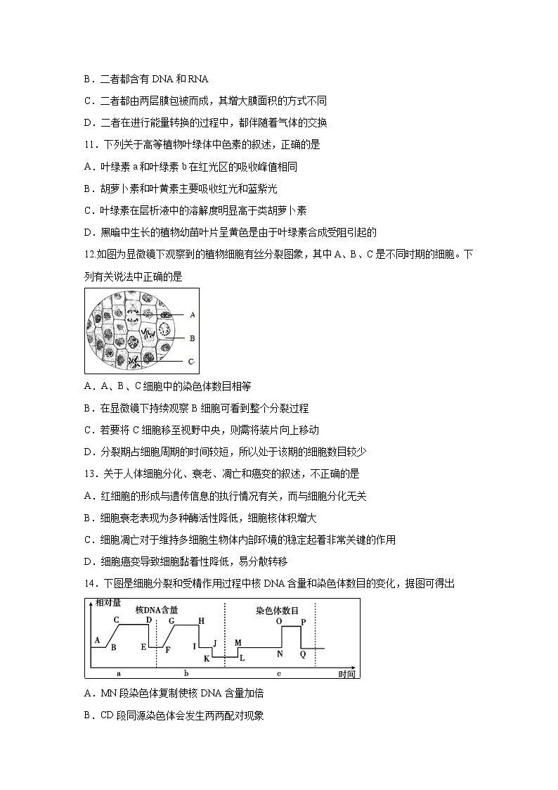 【生物】广东省汕头市金山中学2018-2019学年高二上学期10月月考试题第3页