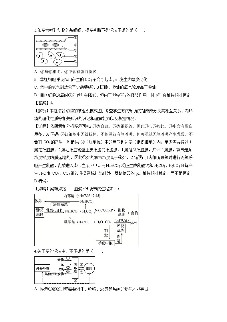 【生物】河北省辛集中学2018-2019学年高二上学期第一次月考试题（解析版）02