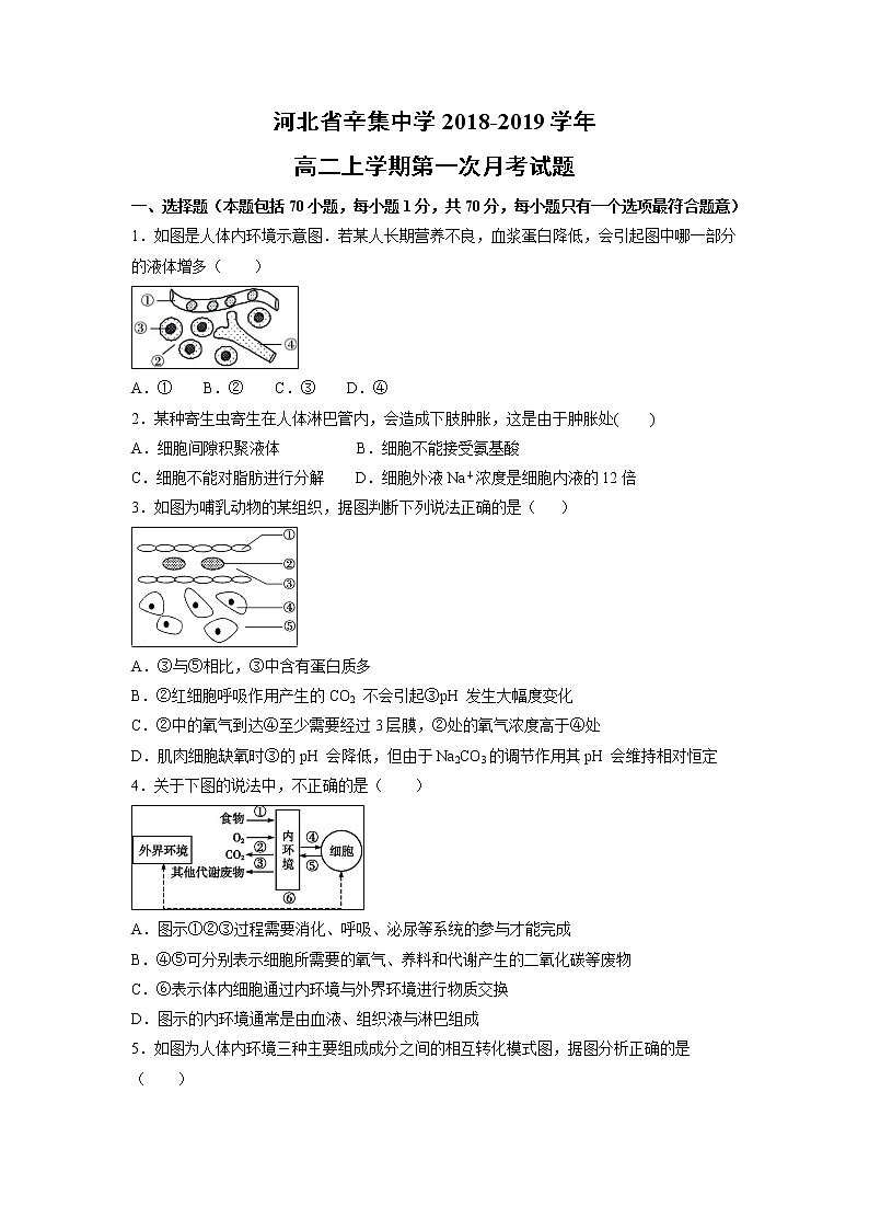 【生物】河北省辛集中学2018-2019学年高二上学期第一次月考试题01