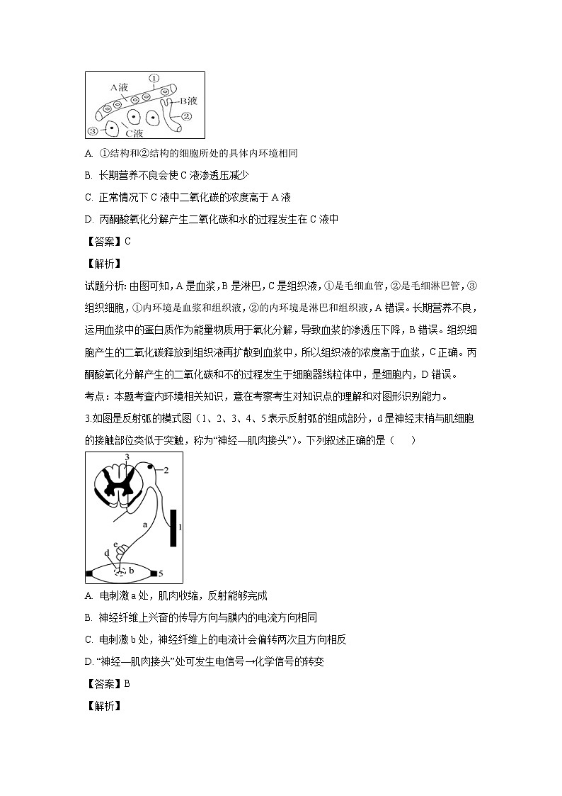 【生物】河南省辉县市第一高级中学2018-2019学年高二上学期第二次阶段性考试试题（解析版）第2页