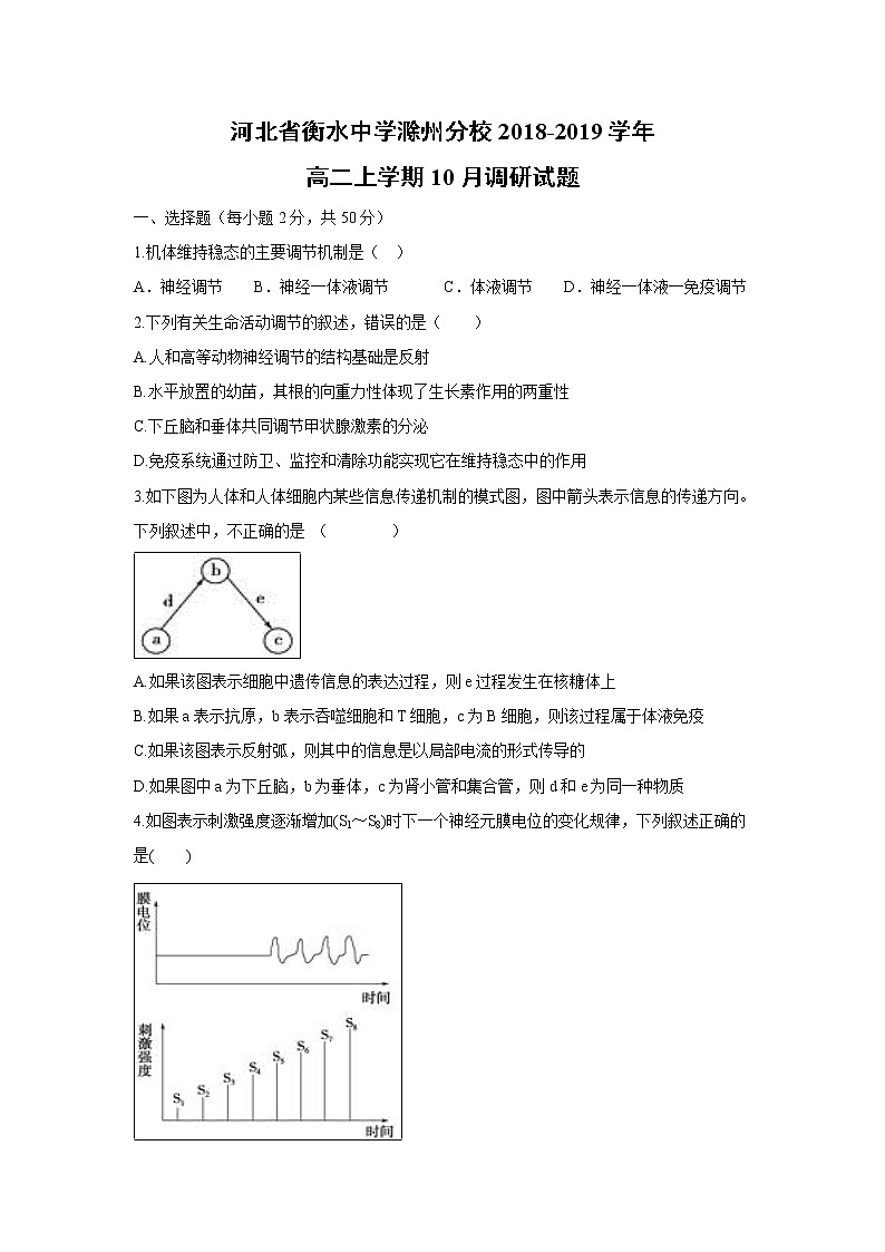 【生物】河北省衡水中学滁州分校2018-2019学年高二上学期10月调研试题01