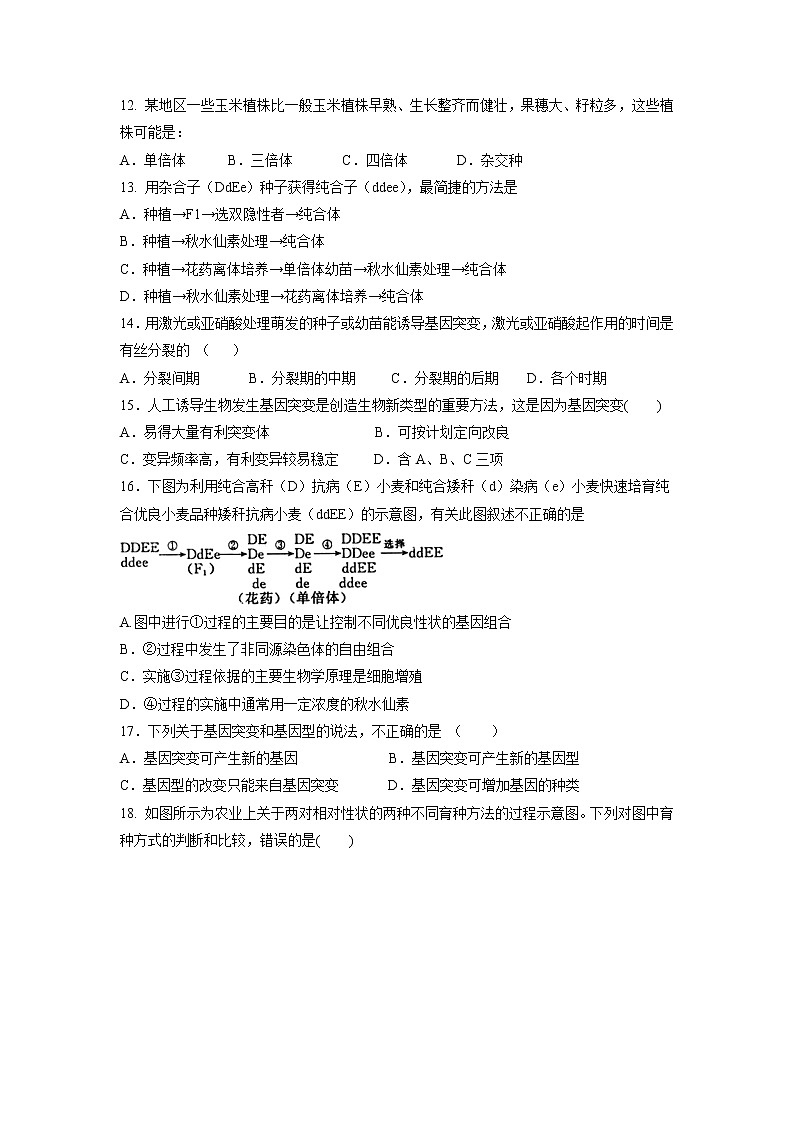 【生物】河北省武邑中学2018-2019学年高二12月月考试题03