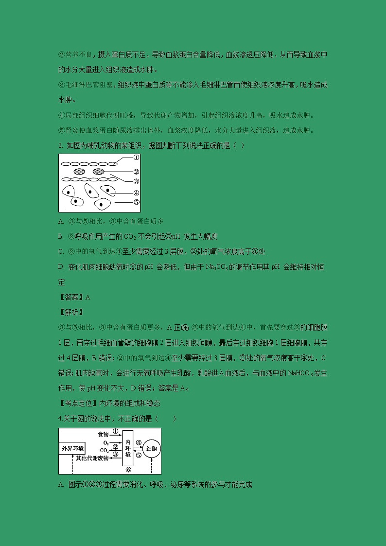 【生物】河北省石家庄市辛集中学2018-2019学年高二上学期第一次月考试卷 （解析版）02