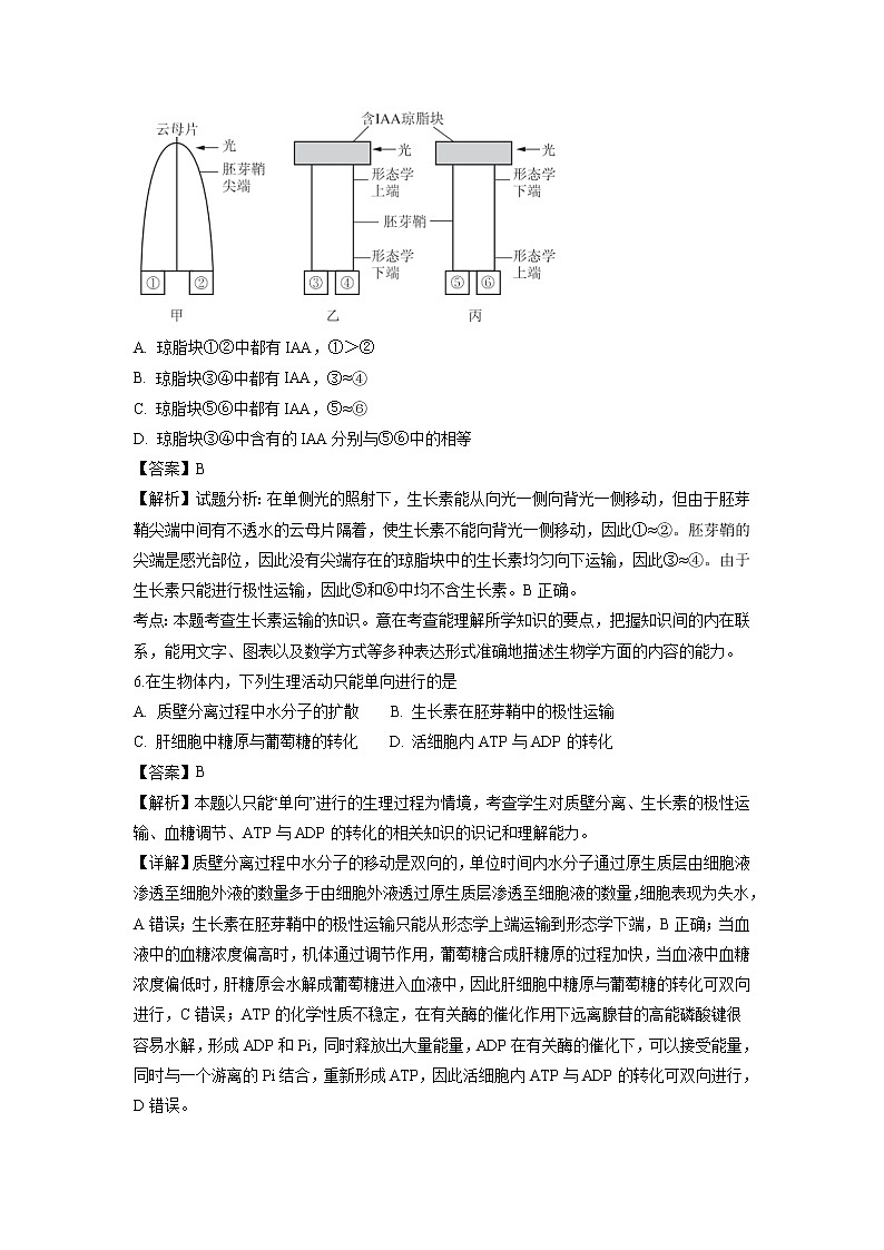 【生物】河北省武邑中学2018-2019学年高二上学期第二次月考试题（解析版）03