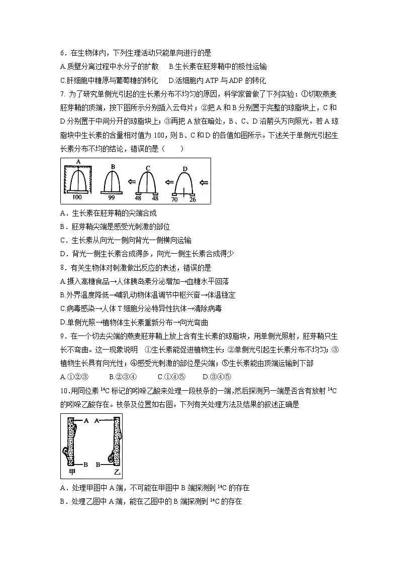 【生物】河北省武邑中学2018-2019学年高二上学期第二次月考试题02