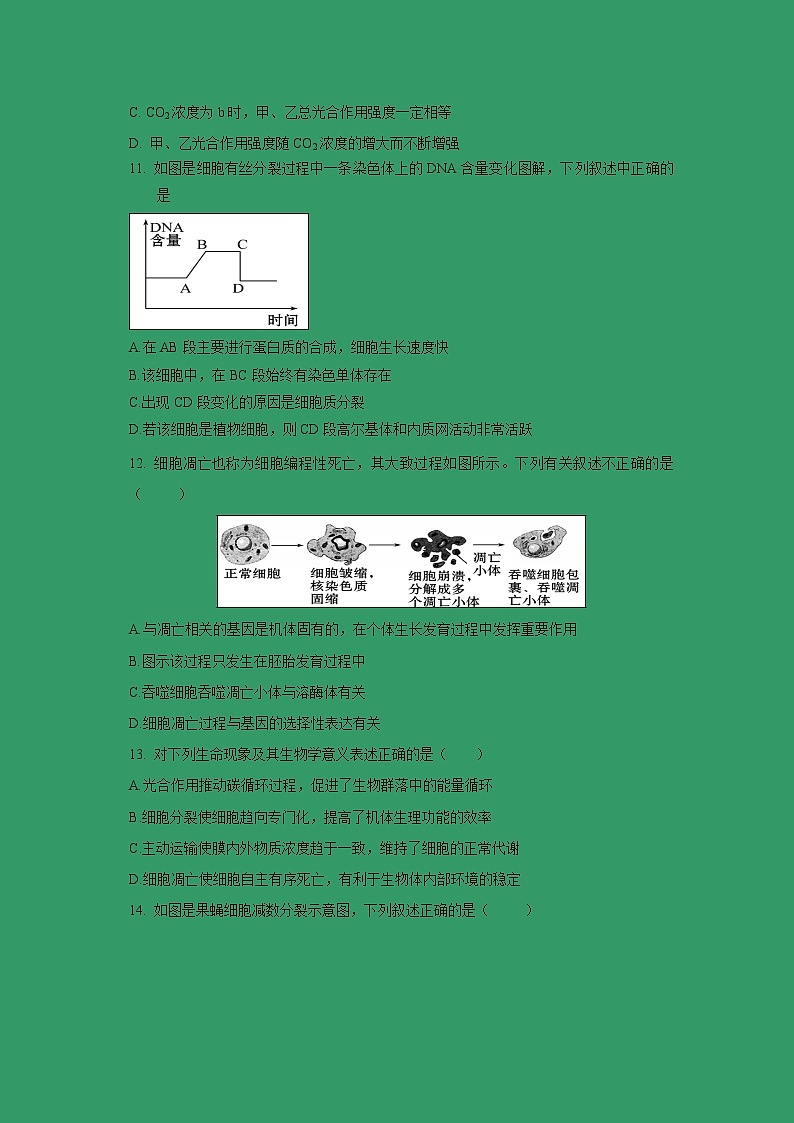 【生物】广西桂林十八中2018-2019学年高二下学期开学考试试题第3页