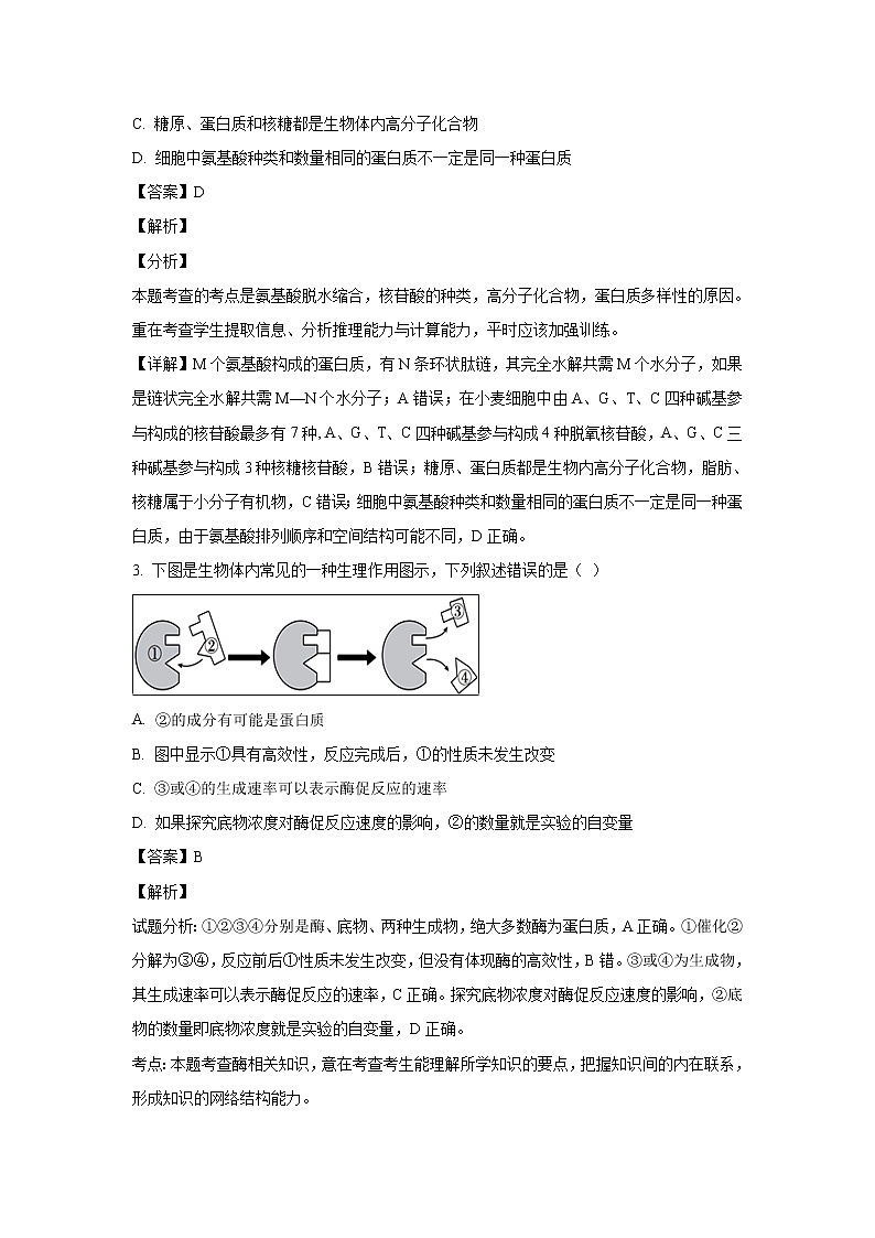 【生物】黑龙江省牡丹江市第一高级中学2018-2019学年高二下学期寒假开学检测试题 （解析版）02