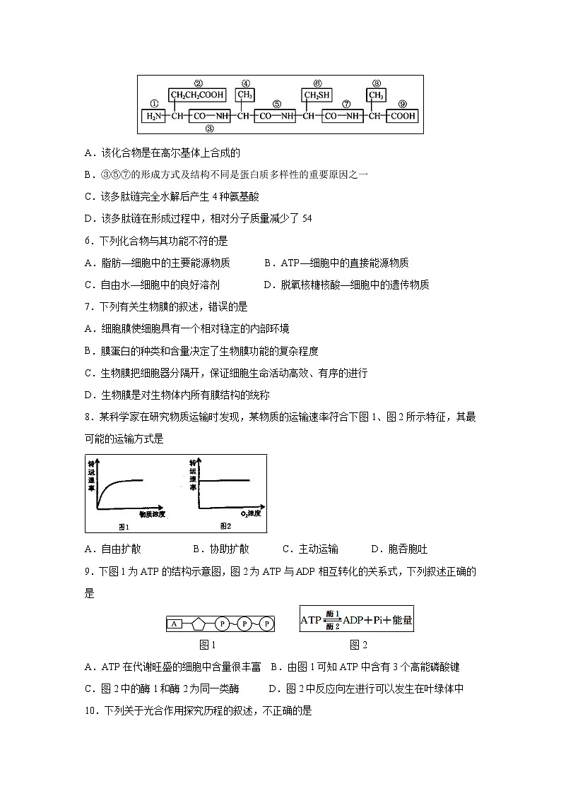 【生物】江苏省扬州中学2018-2019学年高二下学期开学检测（2月） （必修）02