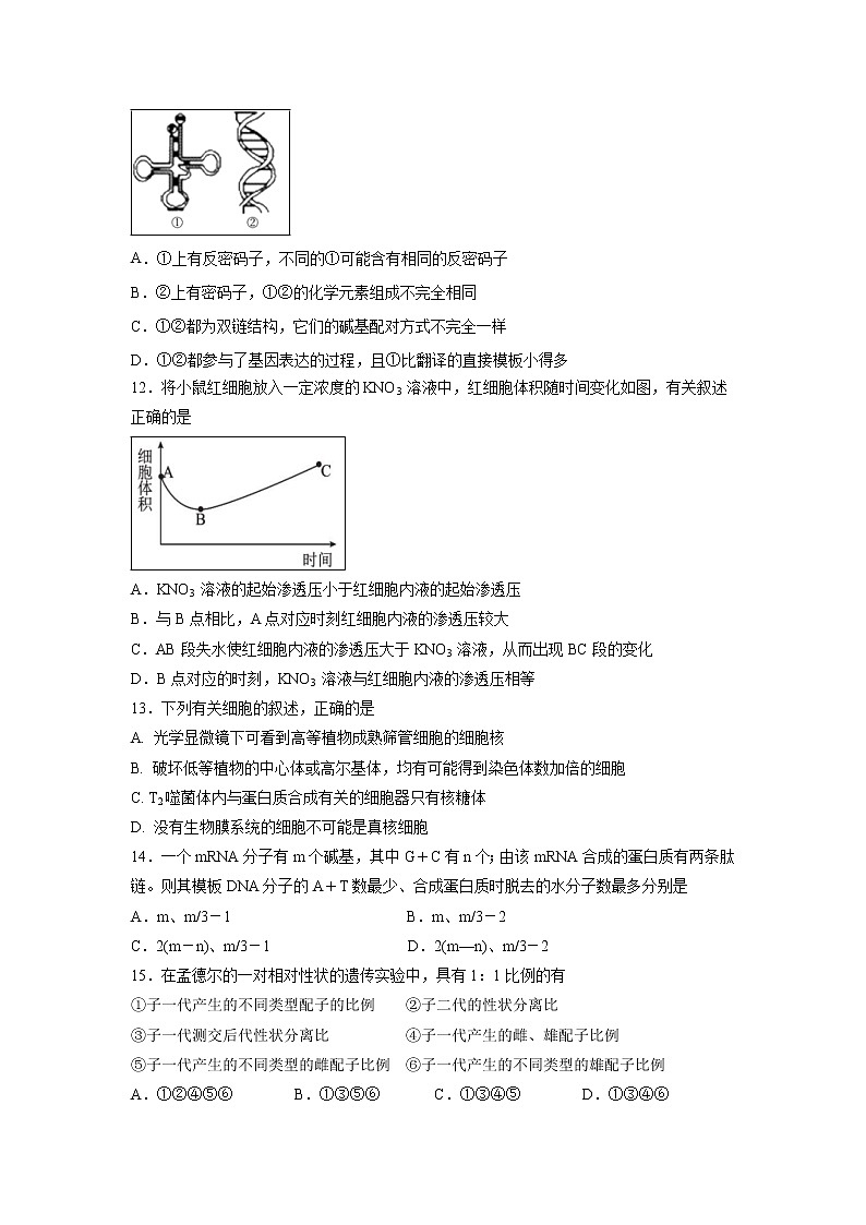 【生物】内蒙古鄂尔多斯市第一中学2018-2019学年高二下学期开学考试试题第3页