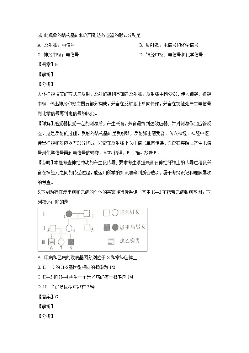 【生物】四川省成都市棠湖中学2018-2019学年高二下学期开学考试试题 （解析版）第3页
