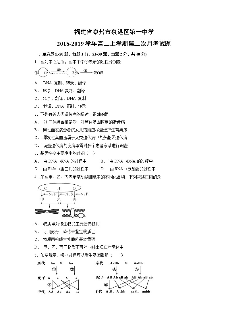 【生物】福建省泉州市泉港区第一中学2018-2019学年高二上学期第二次月考试题01