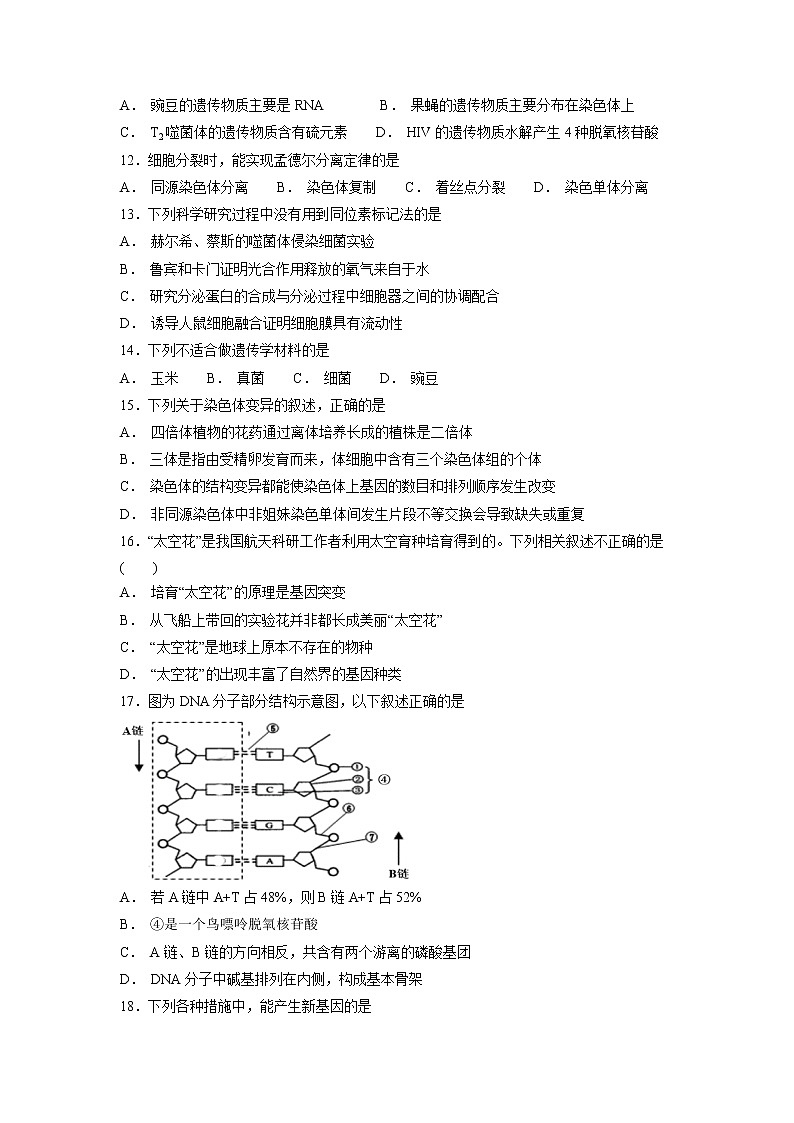 【生物】福建省泉州市泉港区第一中学2018-2019学年高二上学期第二次月考试题03
