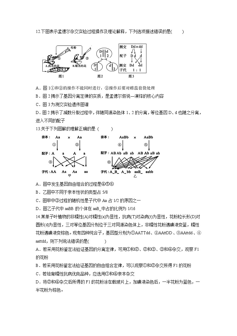 【生物】福建省上杭县第一中学2018-2019学年高二上学期12月月考试题第3页