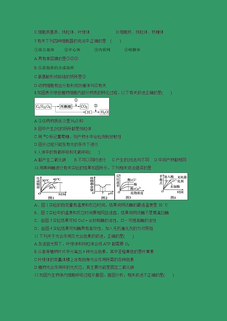 【生物】福建省霞浦第一中学2018-2019学年高二上学期第二次月考试题（B卷）02