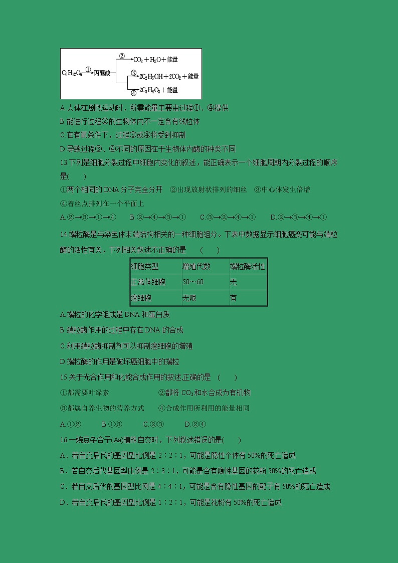 【生物】福建省霞浦第一中学2018-2019学年高二上学期第二次月考试题（B卷）03
