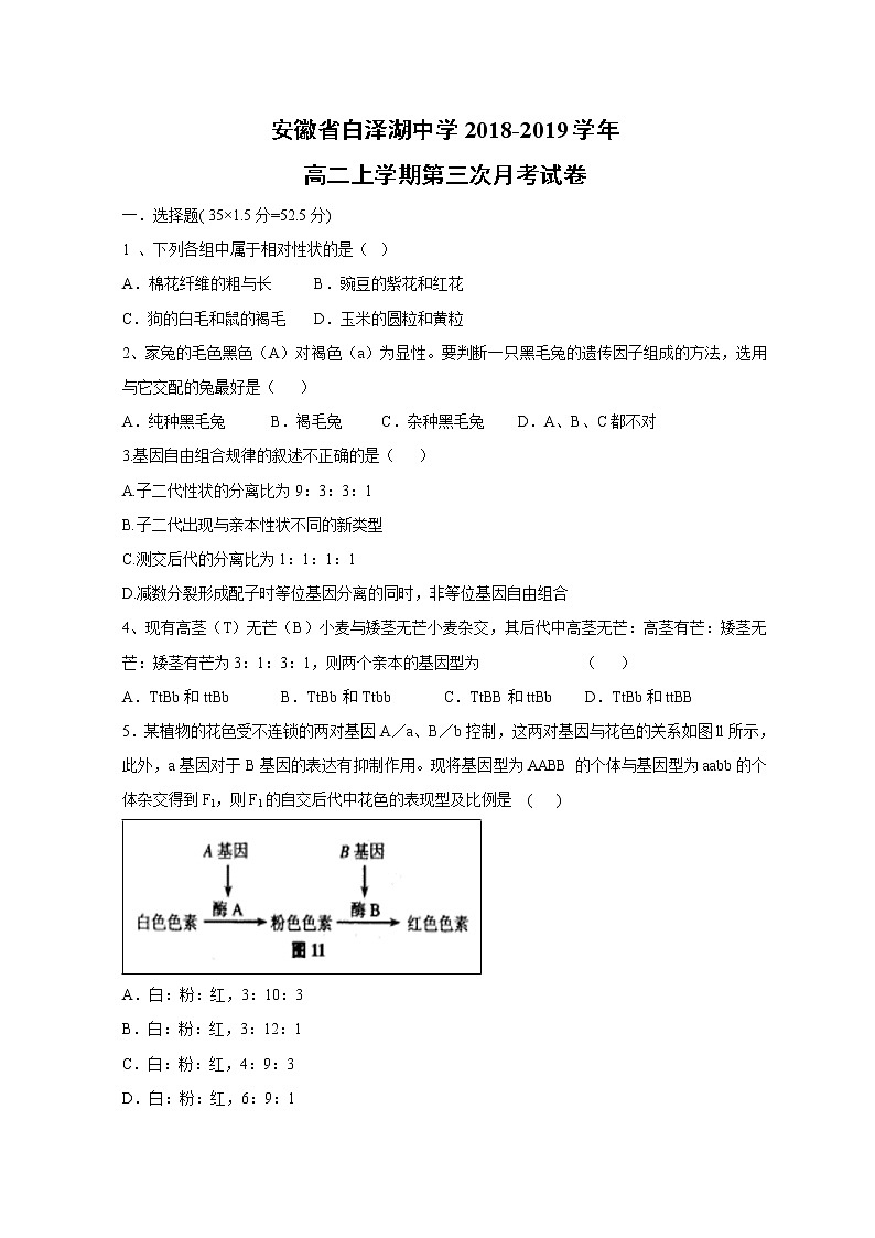 【生物】安徽省白泽湖中学2018-2019学年高二上学期第三次月考试卷01