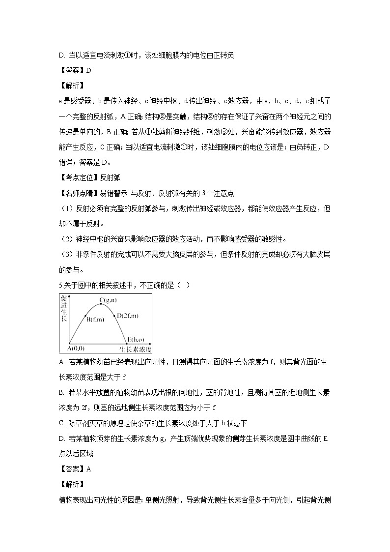 【生物】安徽省定远县民族中学2018-2019学年高二上学期第三次质量测试试题 （解析版）第3页