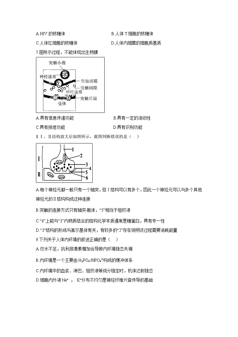 【生物】安徽省凤阳县博文国际学校2018-2019学年高二上学期期考模底试题第2页